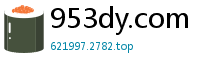 953dy.com